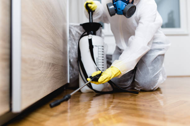 Best Pest Control Near Me  in West Yarmouth, MA