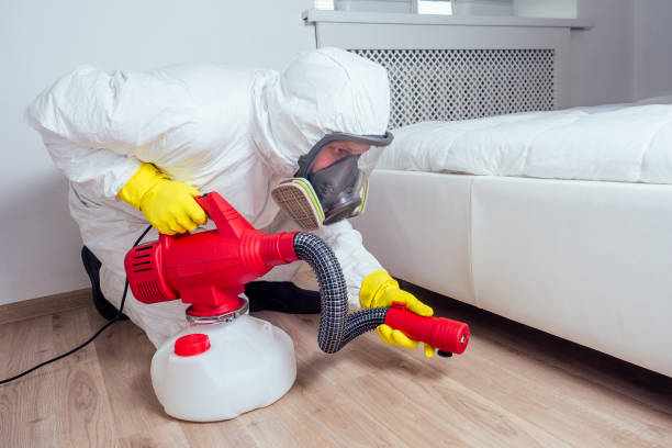 Best Pest Prevention Services  in West Yarmouth, MA